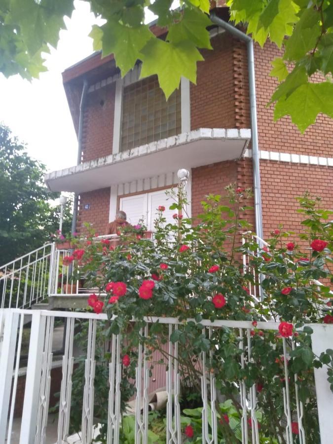 Sandrea Studio Apartment Subotica Luaran gambar